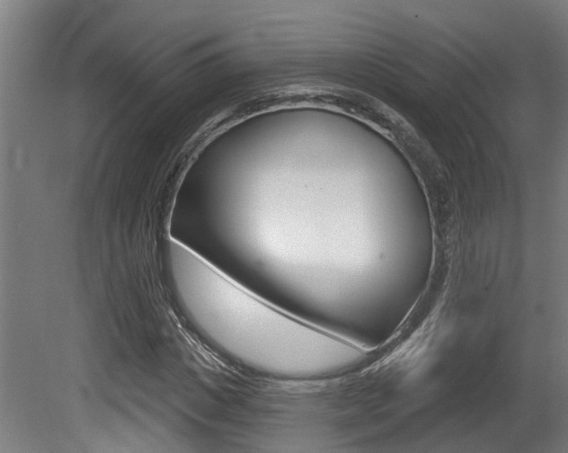 X0000081320825200701111026