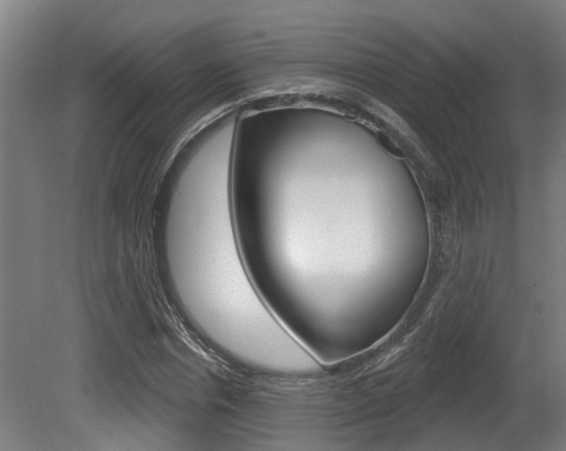 X0000081320826200701111026