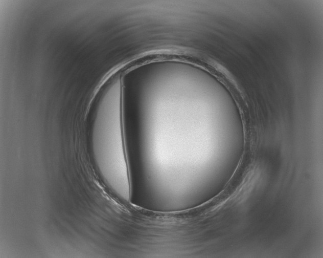 X0000081320829200701111026