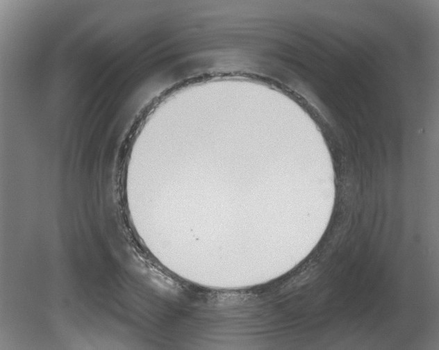 X0000081320832200701111026