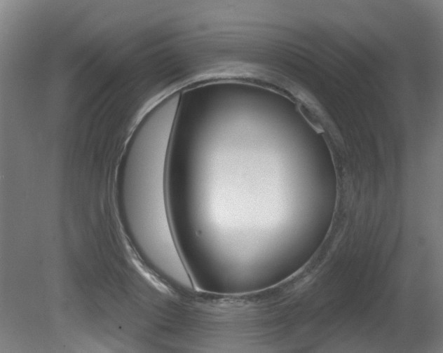 X0000081320842200701111026
