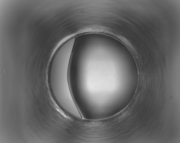 X0000081320846200701111026