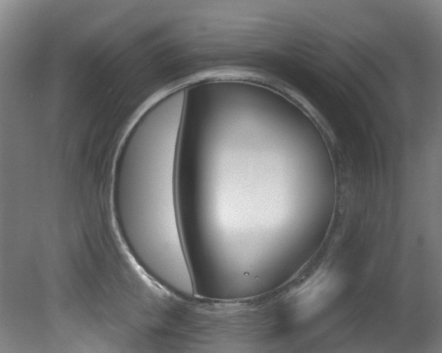 X0000081320853200701111027