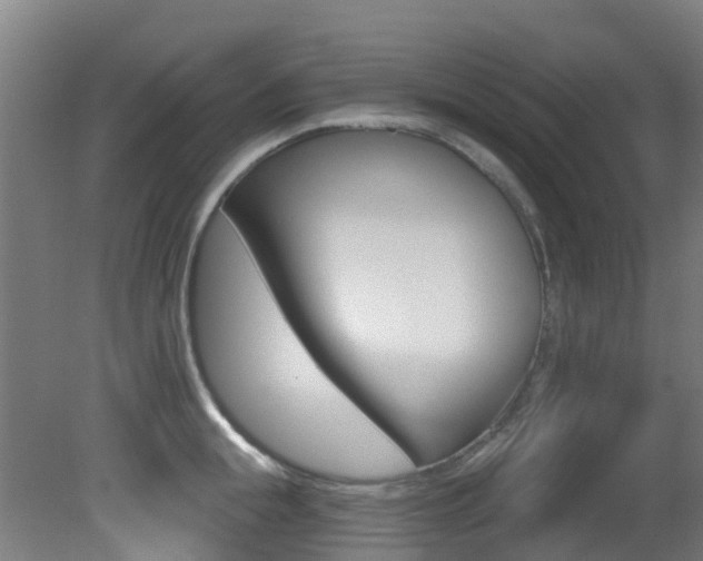 X0000081320855200701111027