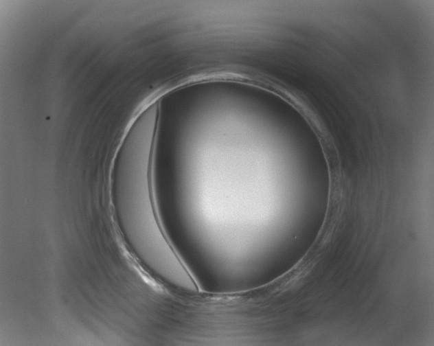 X0000081320858200701111027
