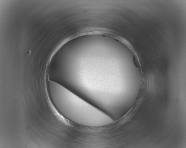 X0000081320859200701111027
