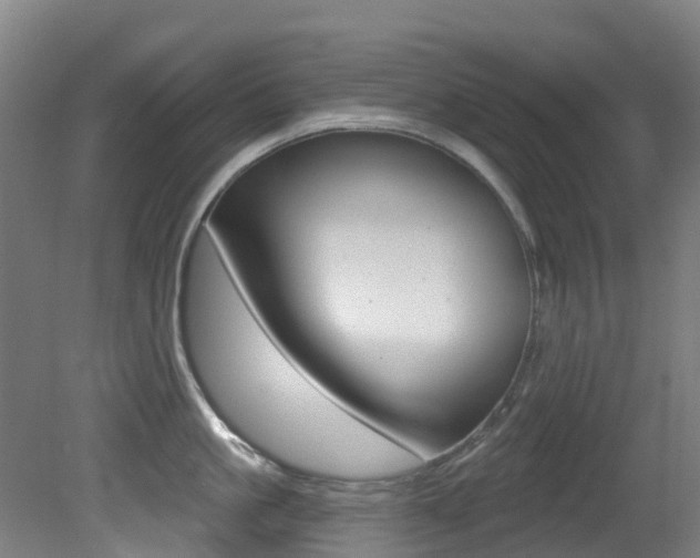 X0000081320861200701111027