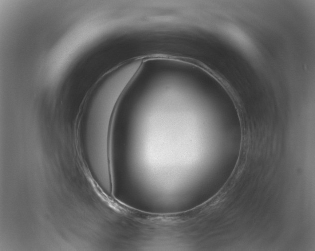 X0000081320862200701111027