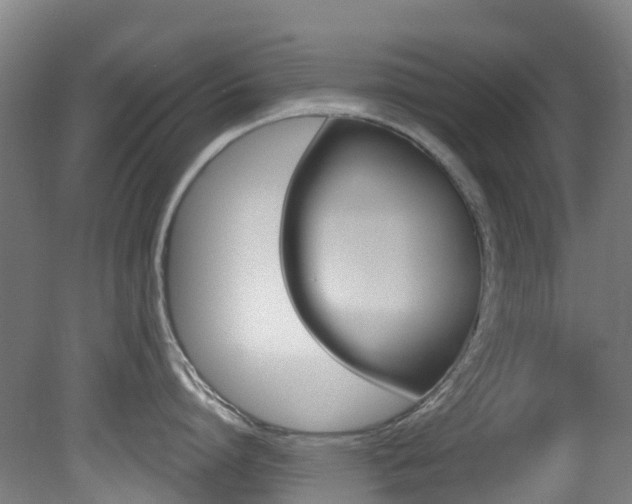 X0000081320864200701111027