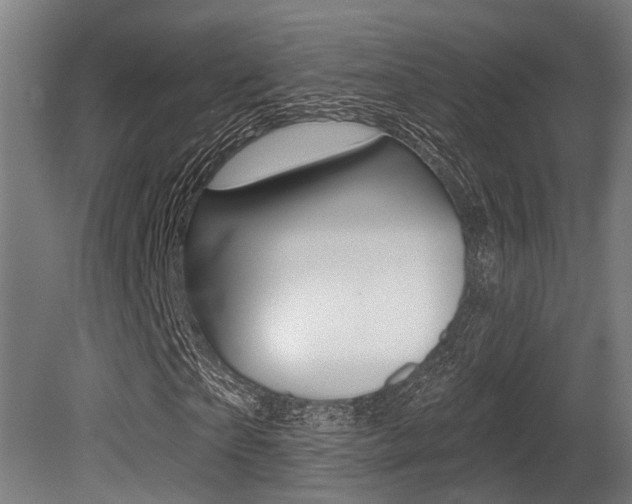 X0000081320865200701111026