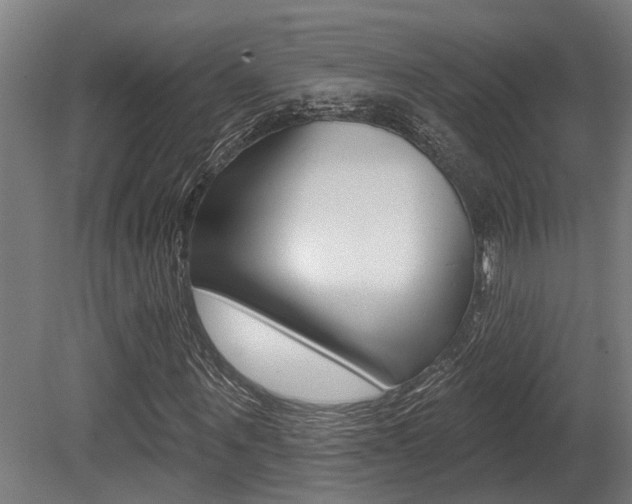 X0000081320867200701111026