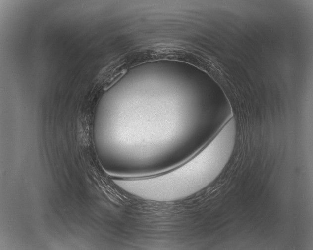 X0000081320868200701111026