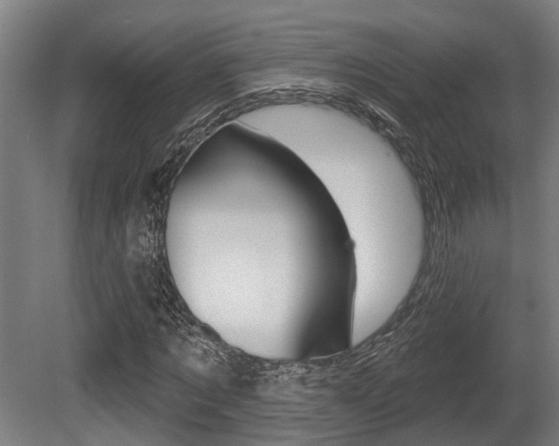 X0000081320869200701111026