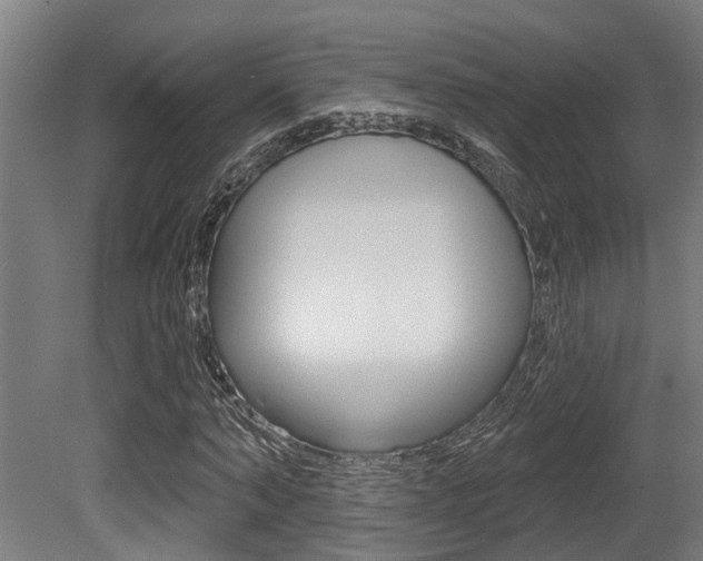 X0000081320870200701111026