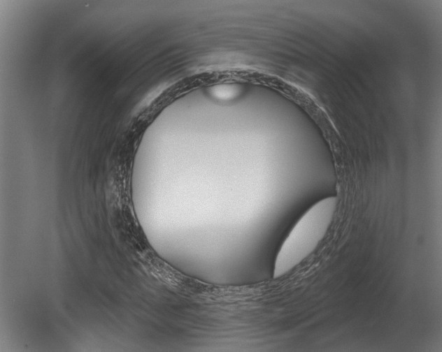 X0000081320871200701111026