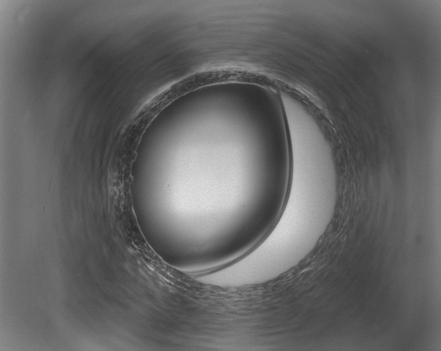 X0000081320872200701111026