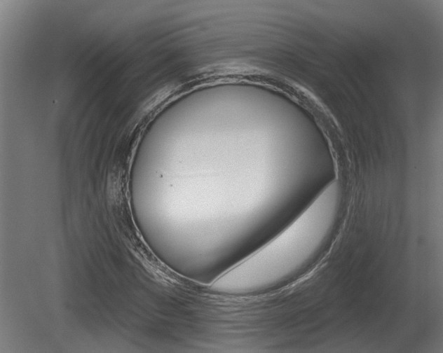 X0000081320873200701111026