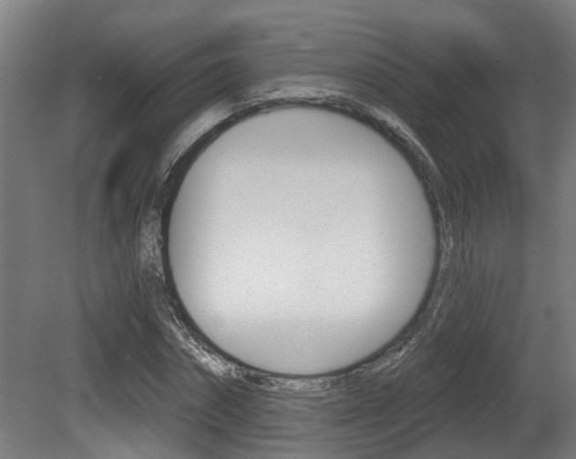 X0000081320874200701111026