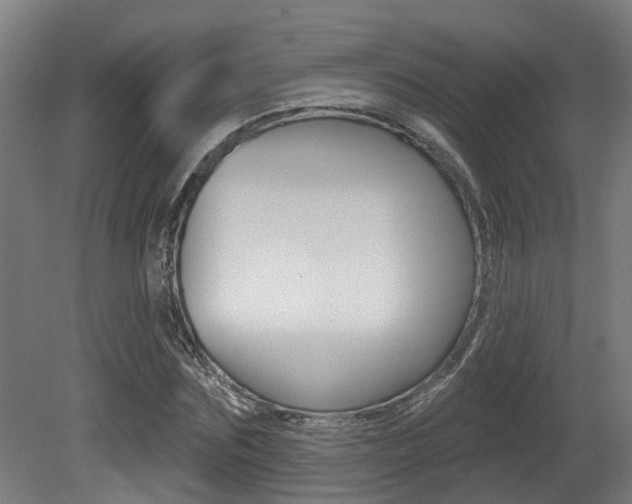 X0000081320875200701111026