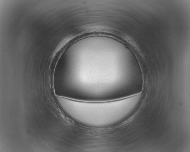 X0000081320877200701111026