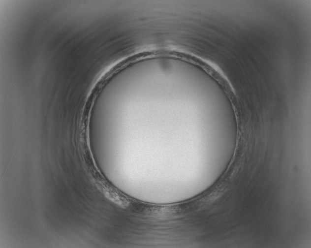 X0000081320879200701111026