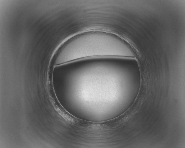 X0000081320880200701111026