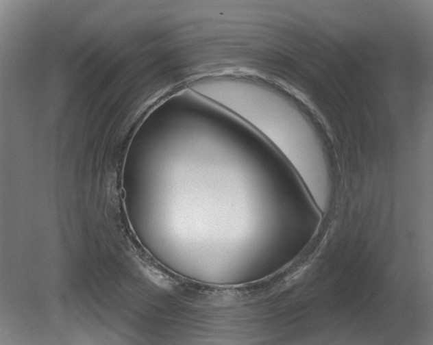 X0000081320881200701111026