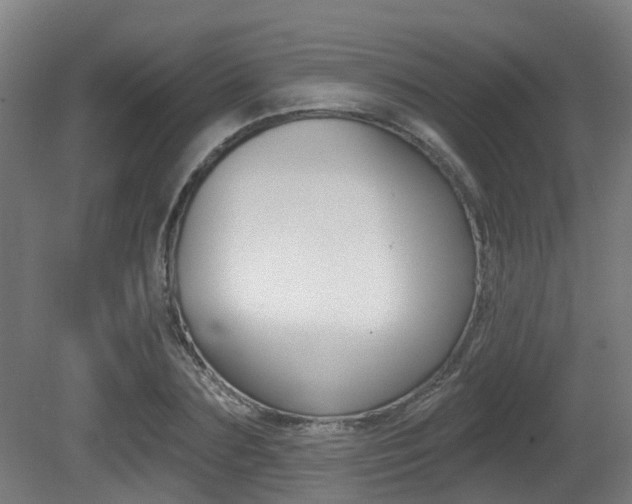 X0000081320883200701111026