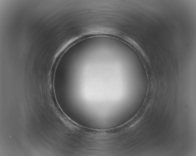 X0000081320885200701111026