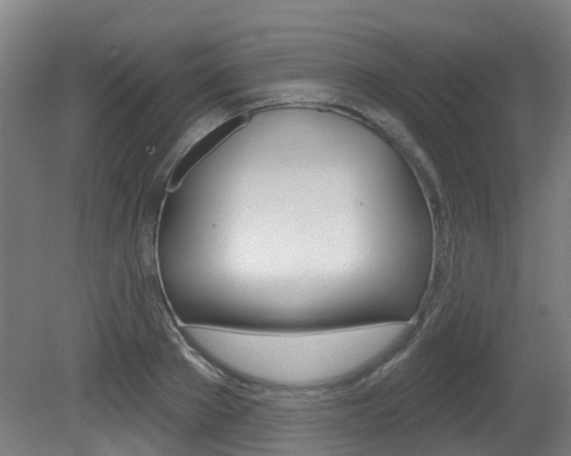 X0000081320889200701111026