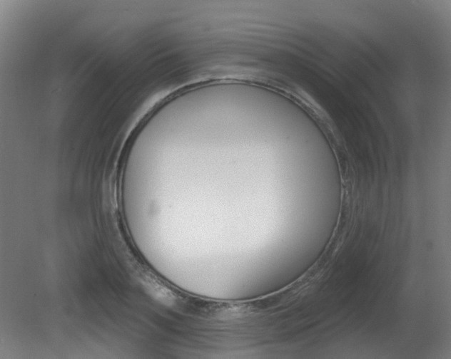 X0000081320891200701111025