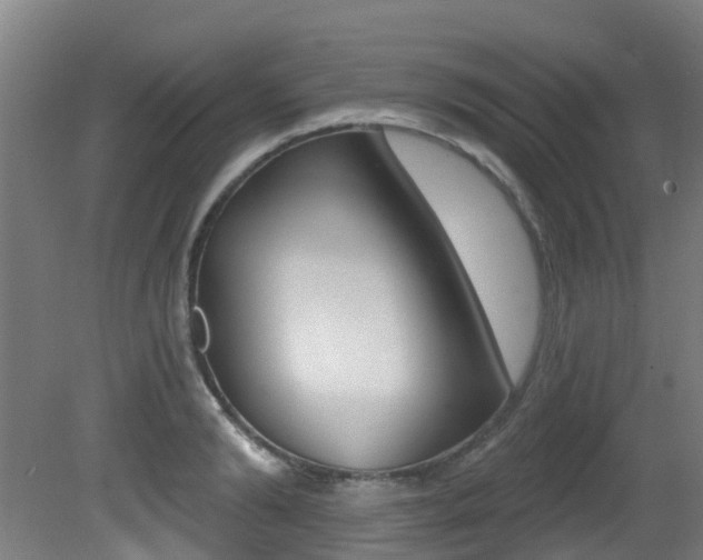 X0000081320894200701111025