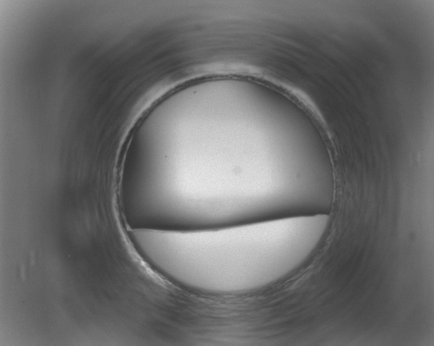 X0000081320895200701111025