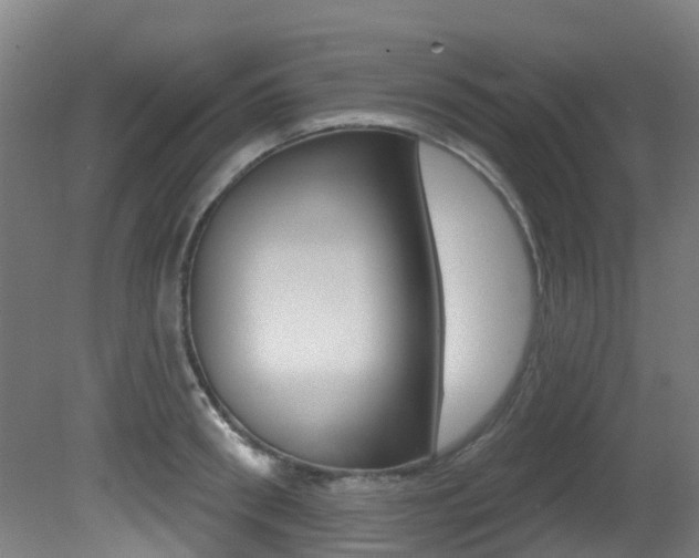 X0000081320898200701111025