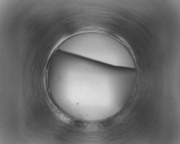 X0000081320899200701111025
