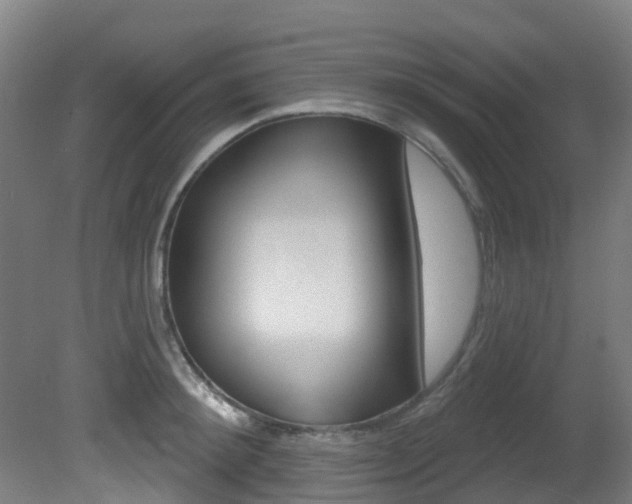 X0000081320900200701111025