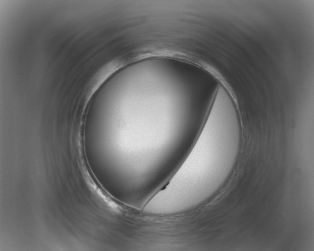 X0000081320906200701111025