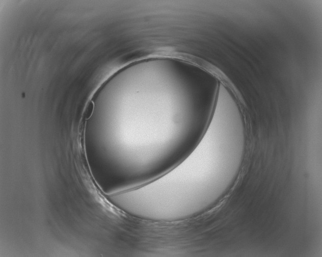 X0000081320908200701111025