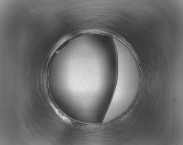 X0000081320909200701111025
