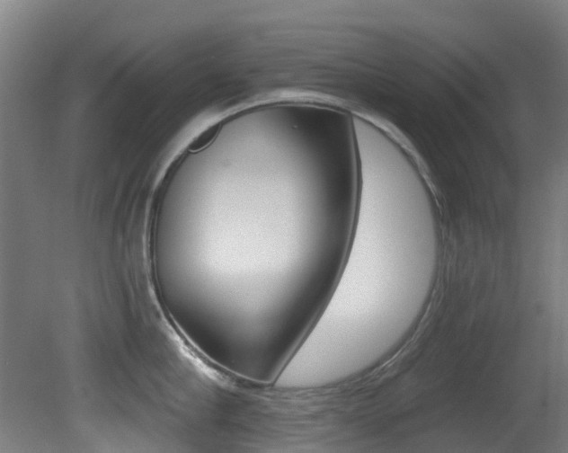 X0000081320910200701111025