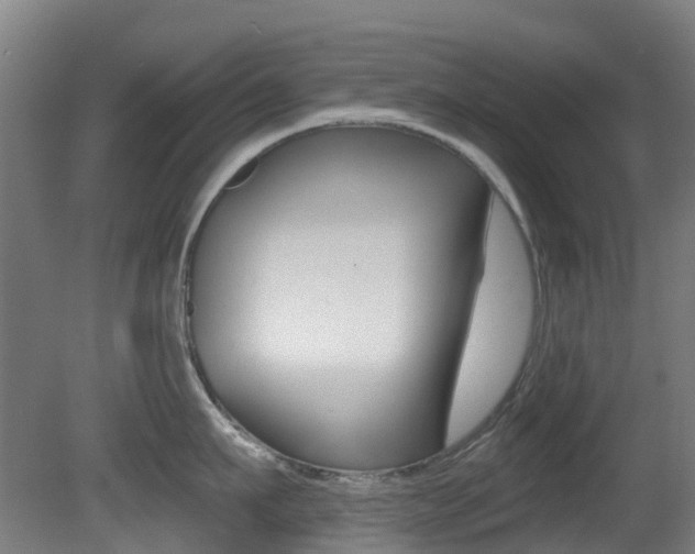 X0000081320911200701111025