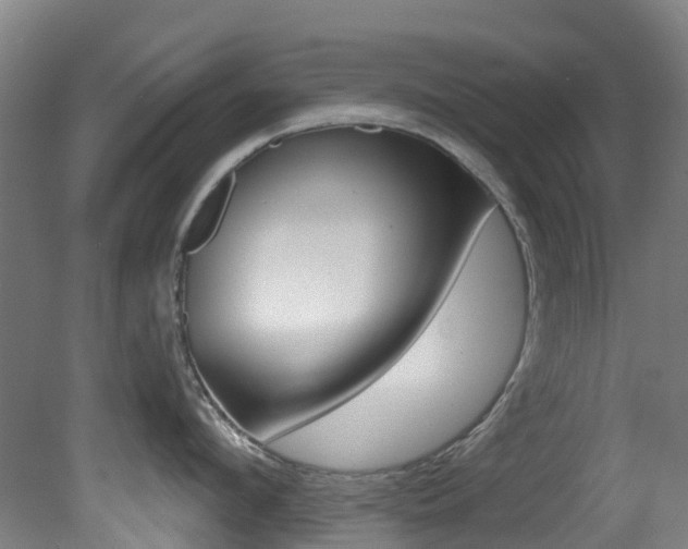 X0000081320912200701111025