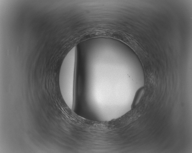 X0000081320914200701111024