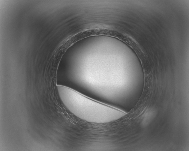 X0000081320919200701111024