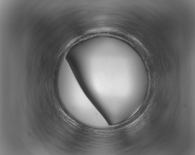X0000081320921200701111024
