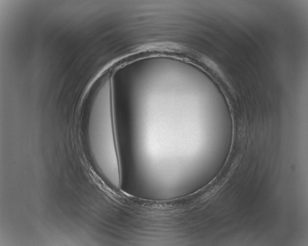 X0000081320923200701111024
