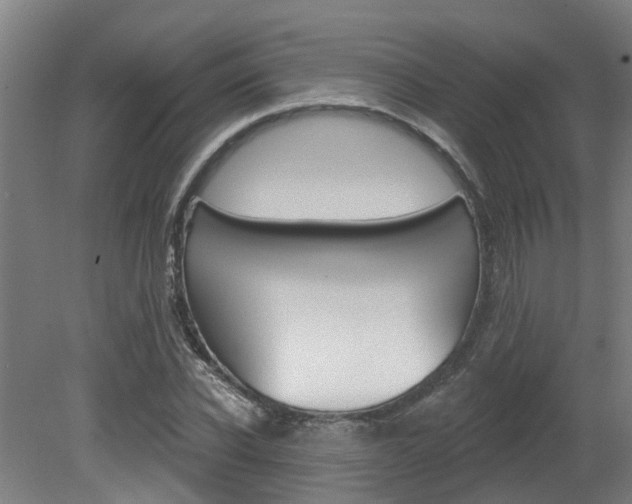X0000081320926200701111025