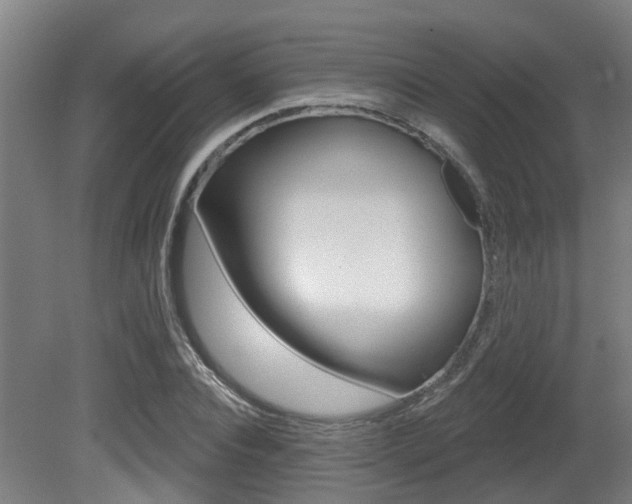 X0000081320928200701111025