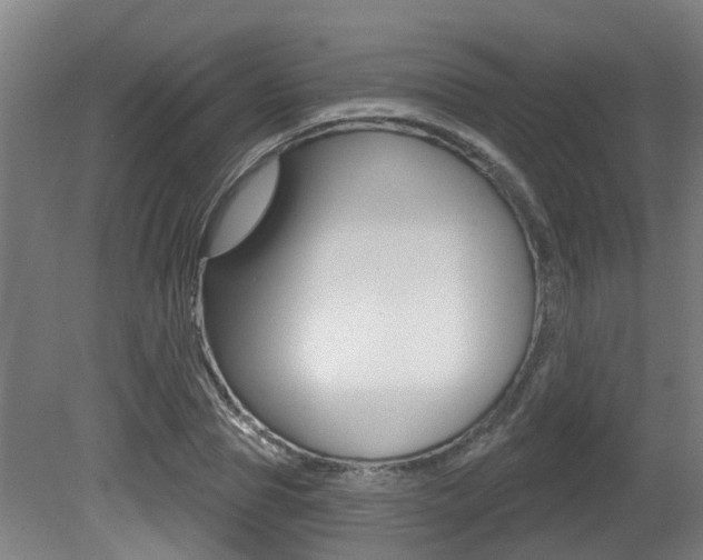 X0000081320929200701111025