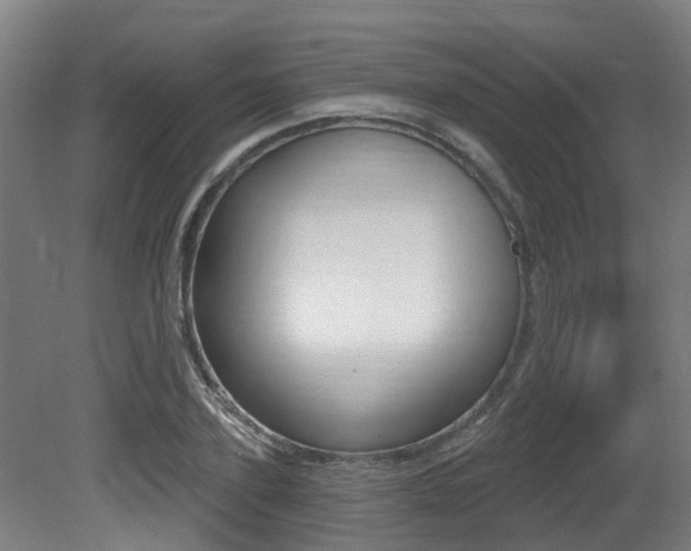 X0000081320931200701111025